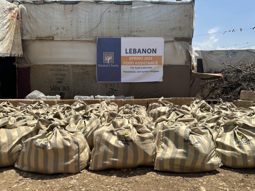 Ahmad Emergency Aid in Gaza & Lebanon