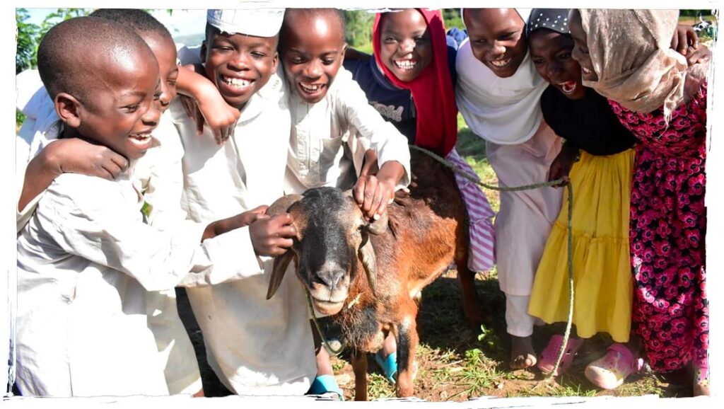Lächelnde Kinder spielen mit einer Ziege in Afrika im Rahmen eines Akika-Opferprojekts.